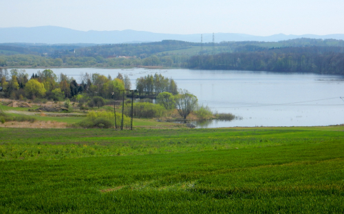 Smědá / Witka.