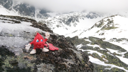 Vysoké Tatry, Velká Studená dolina. Zima, skialp.