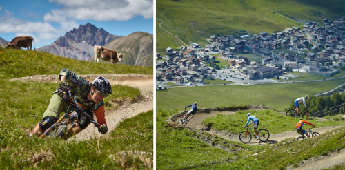 Livigno, bikepark Mottolino.