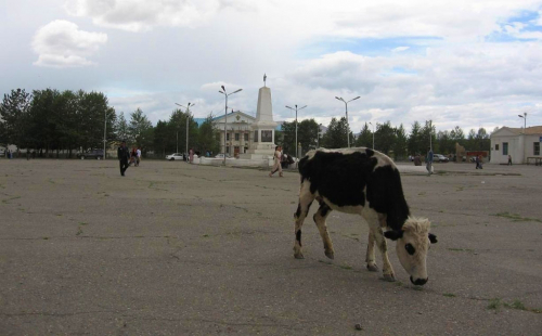 Mongolsko na motorce.