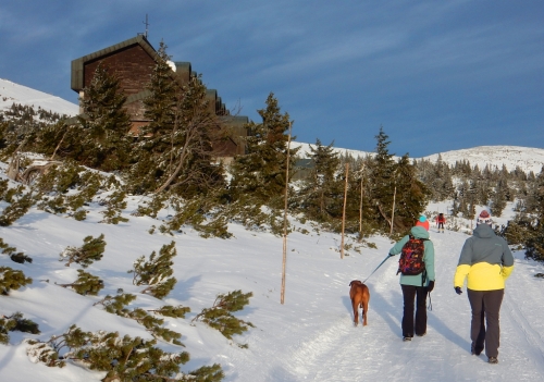 Výrovka, Krkonoše.