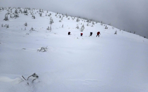 Krkonoše, skialpinismus.