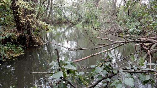 Morava, Tovačov.