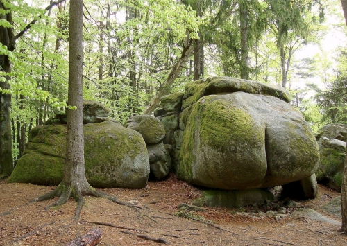 Česká Kanada.