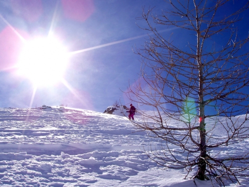 Passo Tonale.