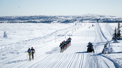 Birkebeiner.