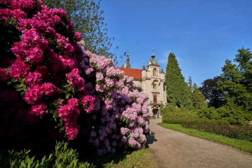 Rozkvetlý park Průhonice.