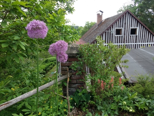 Zahrady pod Ralskem.