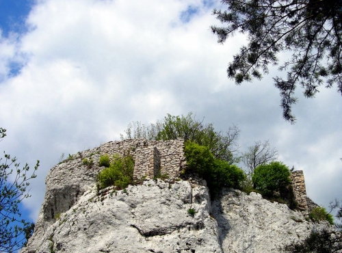 Zřícenina hradu Ryczow.