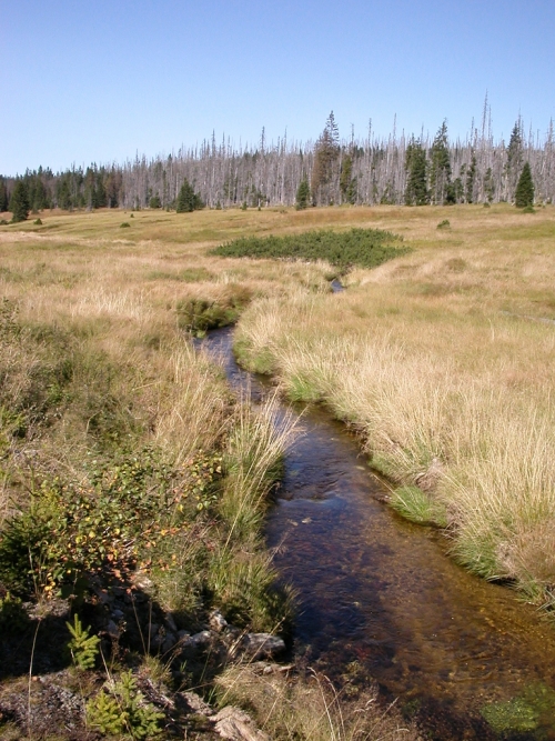 Luzný / Lusen, Šumava. 