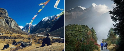 Ghorepani Poon Hill and Langtang.