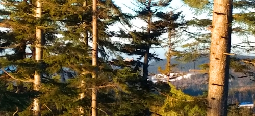 Obří hrad, Popelná, Šumava.