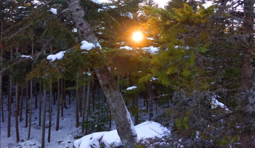 Obří hrad, Popelná, Šumava.