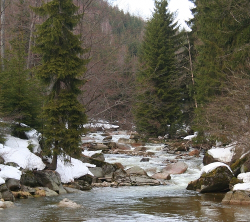 Mumlava, Harrachov, pila.