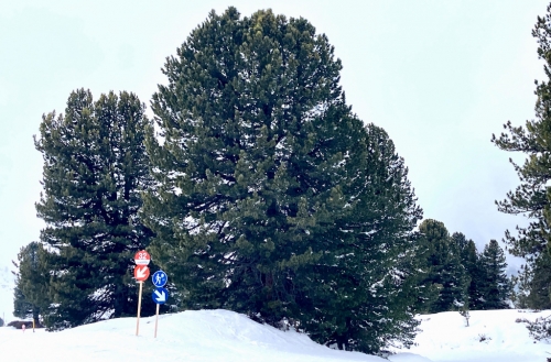 Zillertal winter.