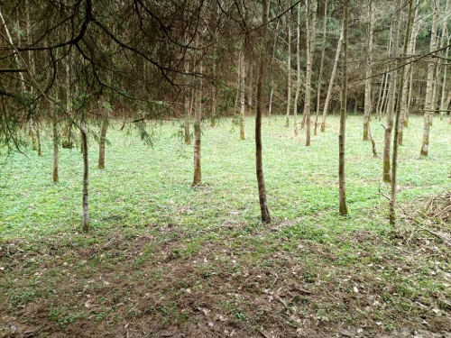 Ralsko, Mukařov.