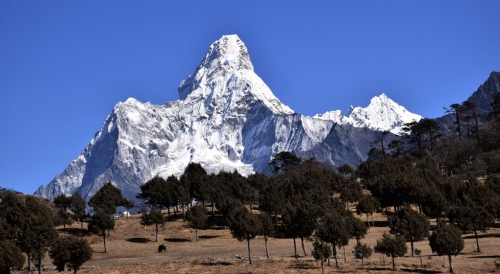 Ama Dablam.