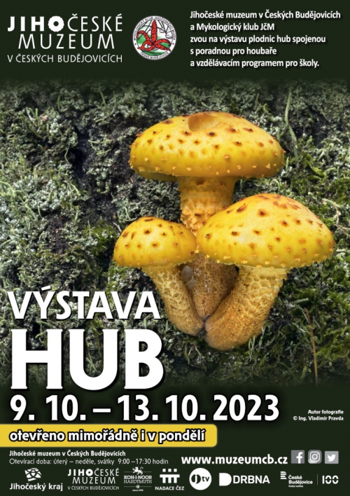 Výstava hub 2023.