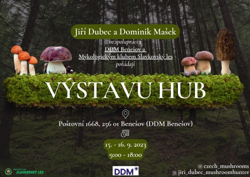 Výstava hub 2023.