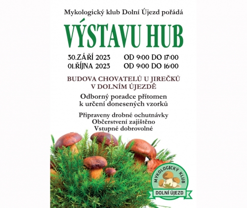 Výstava hub 2023.