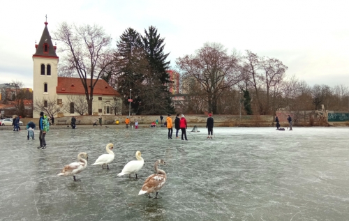 Hamerský rybník, Praha Záběhlice. Bruslení.