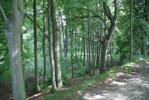 Bitva u Sudoměře 1420.