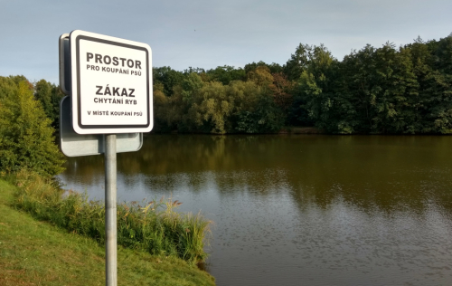 Rybníky na Svépravickém potoce.