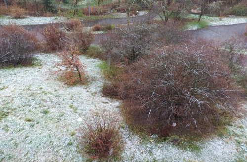 Praha. První sníh.