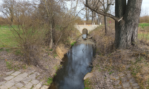 Mlynařice, potok v Polabí.