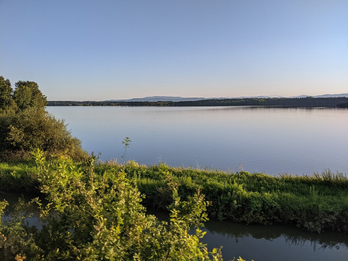Rybník Bezdrev.