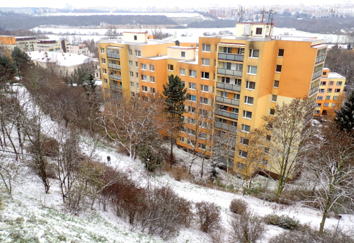 Praha. První sníh.