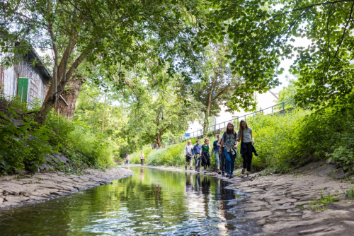 Regionální velká výměna zkušeností RVVZ.