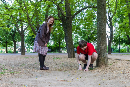 Regionální velká výměna zkušeností RVVZ.