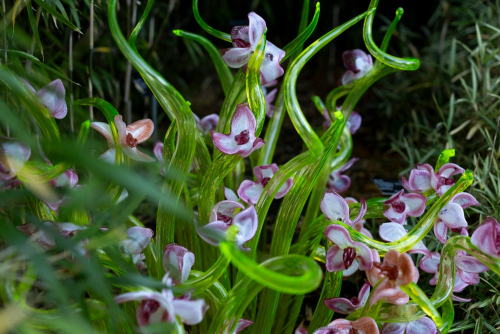 Křišťálová zahrada, Jiří Pačinek, Botanická zahrada Trója. 