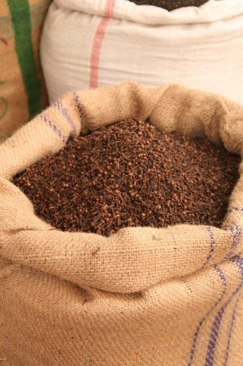 Křišťálová zahrada, Jiří Pačinek, Botanická zahrada Trója. 