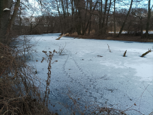 Bruslení: Čelákovice a Lázně Toušeň.
