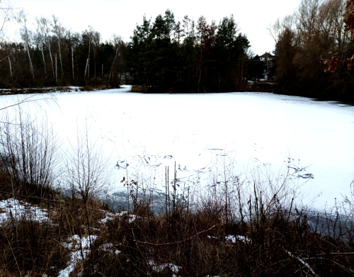Bruslení: Čelákovice a Lázně Toušeň.