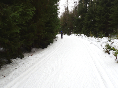 Jizerské hory, Jizerka a okolí v zimě.