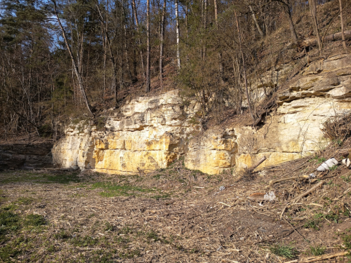 Malý selský lom na pískovec v Podmukařově na levém břehu Mukařovského potoka.