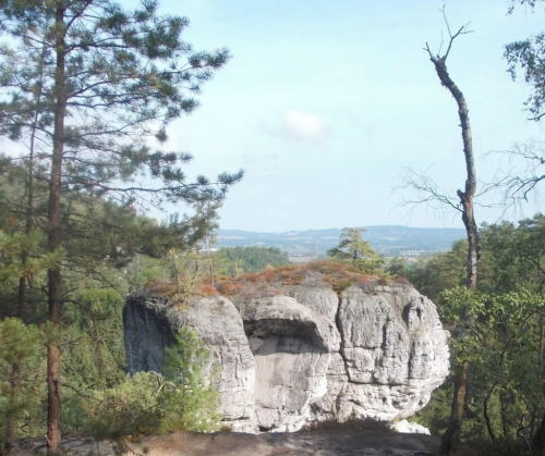 Prachovské skály, Český ráj.