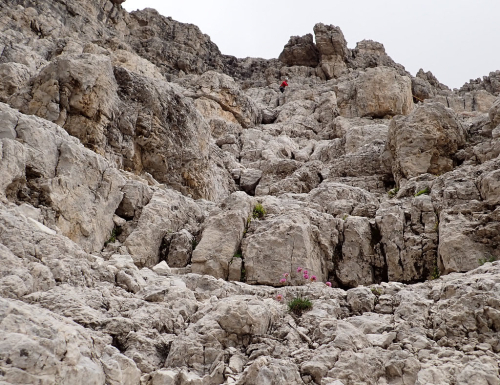 Brenta Alta.