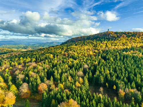 Hvozd / Hochwald, Lužické hory. Hvozd / Hochwald, Lužické hory.