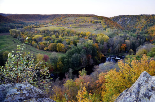 Vinice Šobes.