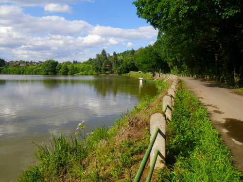 Vyžlovský rybník.