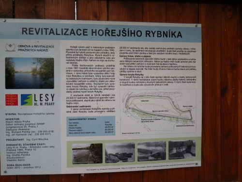 Rokytka. Revitalizace Hořejšího rybníka.